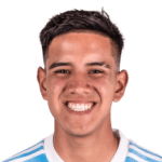 G. E. Alfaro Martinez